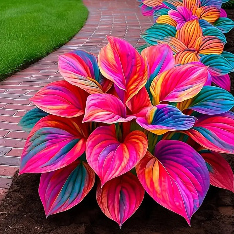 /699e69f73211b3000a5819dc/2026/04/14/product-img-69ddedf0f707c0639afa4795.png